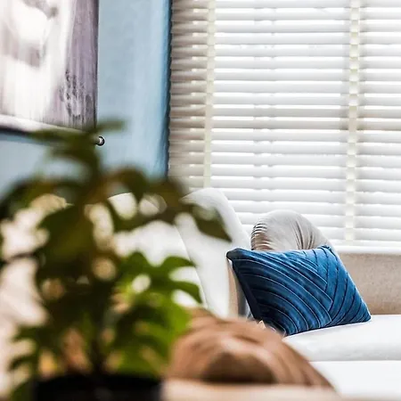 Haya Historic - Viognier *